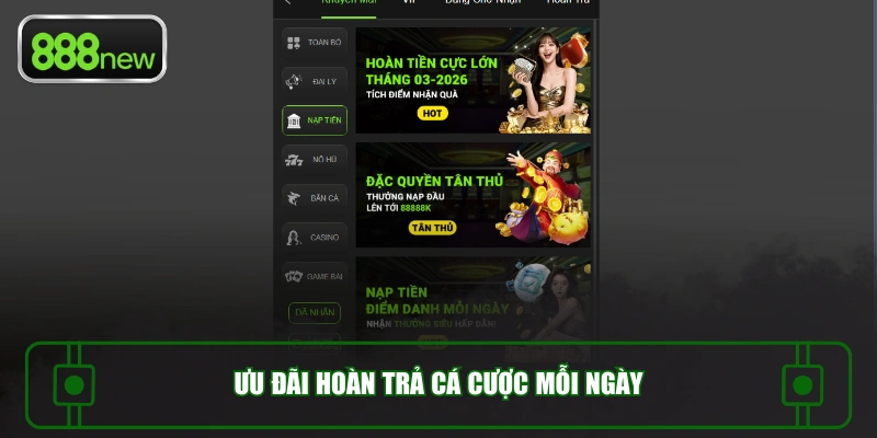 Ưu đãi hoàn trả cá cược mỗi ngày