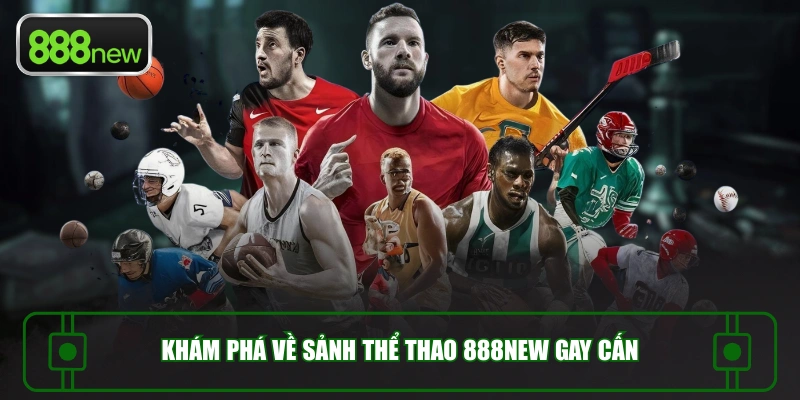 Khám phá về sảnh thể thao 888NEW gay cấn